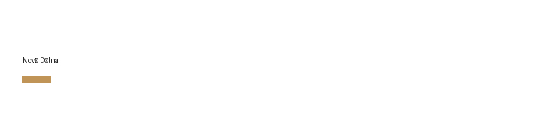 Nový Dílna logo